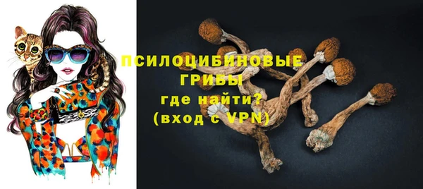 крисы Белокуриха