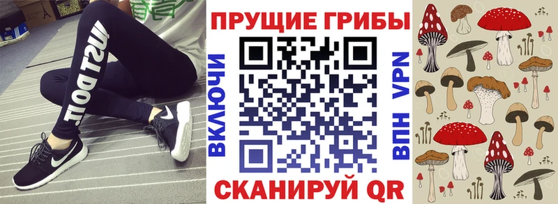 закладка  Бирск  Псилоцибиновые грибы прущие грибы 
